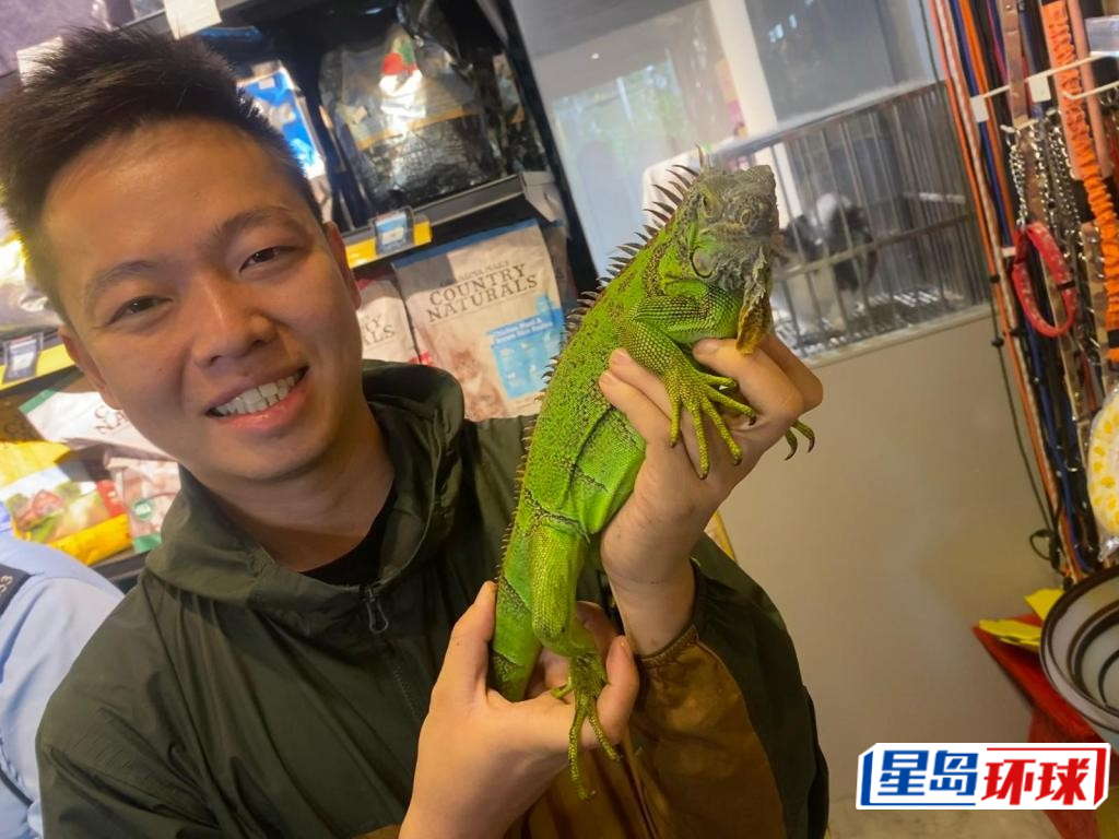 李咏豪指近年弃养宠物蛇及蜥蜴情况严重,预期蛇年将掀养蛇潮,未来弃养情况恐恶化。 李咏豪指近年弃养宠物蛇及蜥蜴情况严重,预期蛇年将掀养蛇潮,未来弃养情况恐恶化。