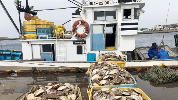 据报中方放宽日本水产品进口手续有进展。 据报中方放宽日本水产品进口手续有进展。