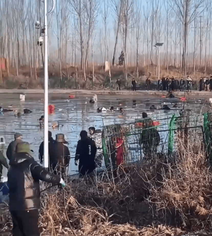 vlcsnap-2025-01-15-12h40m30s715 vlcsnap-2025-01-15-12h40m30s715