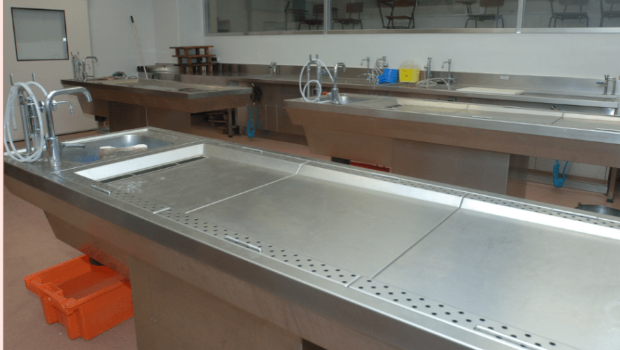 有港男应征政府殓房的“殓房服务员”工作,具体曝光其7大测试 有港男应征政府殓房的“殓房服务员”工作,具体曝光其7大测试