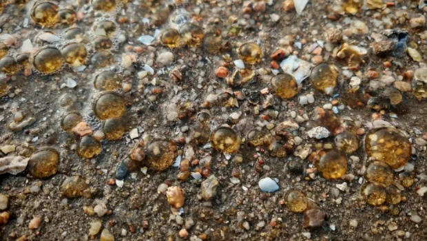 网友发布广东海域出现“不明物质”。 网友发布广东海域出现“不明物质”。