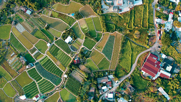 MAZ02P01210125 copy MAZ02P01210125 copy