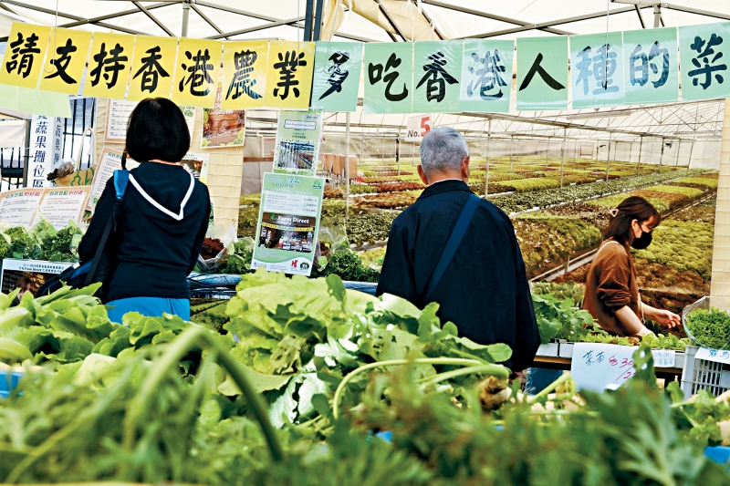 MAZ02P02210125 copy MAZ02P02210125 copy