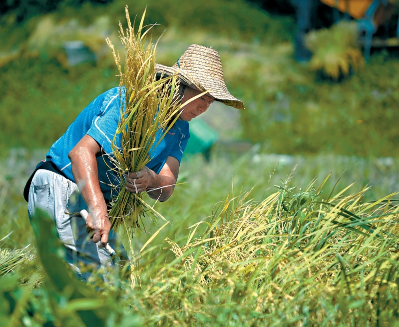 MAZ02P05210125 copy MAZ02P05210125 copy