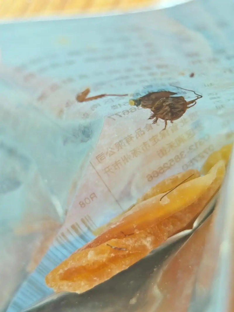 袁女士发布照片可见,蟑螂尸体附着在包装袋内侧,三隻蟑螂腿则掉落在蜜桔干上。 袁女士发布照片可见,蟑螂尸体附着在包装袋内侧,三隻蟑螂腿则掉落在蜜桔干上。