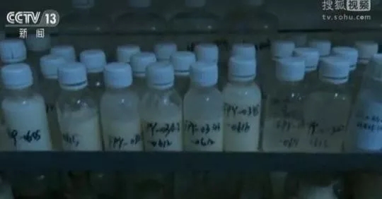 张正波涉及在实验室制毒。 张正波涉及在实验室制毒。