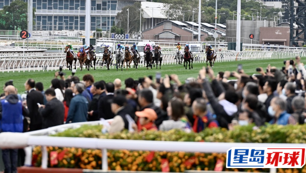 沙田马场举行11场新春“贺年马”。 沙田马场举行11场新春“贺年马”。