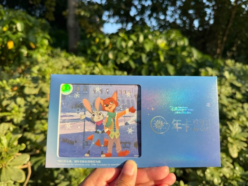 内地年轻人流行买年卡到迪士尼自习。小红书 内地年轻人流行买年卡到迪士尼自习。小红书