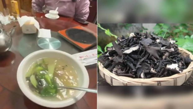 庐山一餐馆“木耳”汤索价¥68 庐山一餐馆“木耳”汤索价¥68