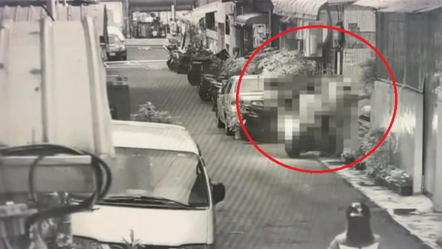 林妇与张男进入住处。 林妇与张男进入住处。