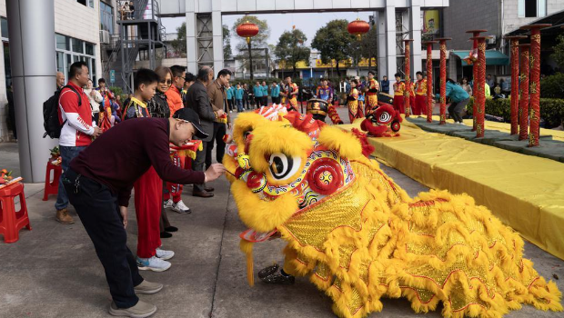 舞狮表演 舞狮表演