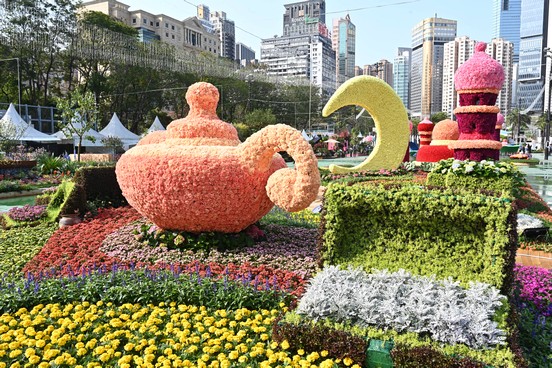 2024年花展盛况 2024年花展盛况