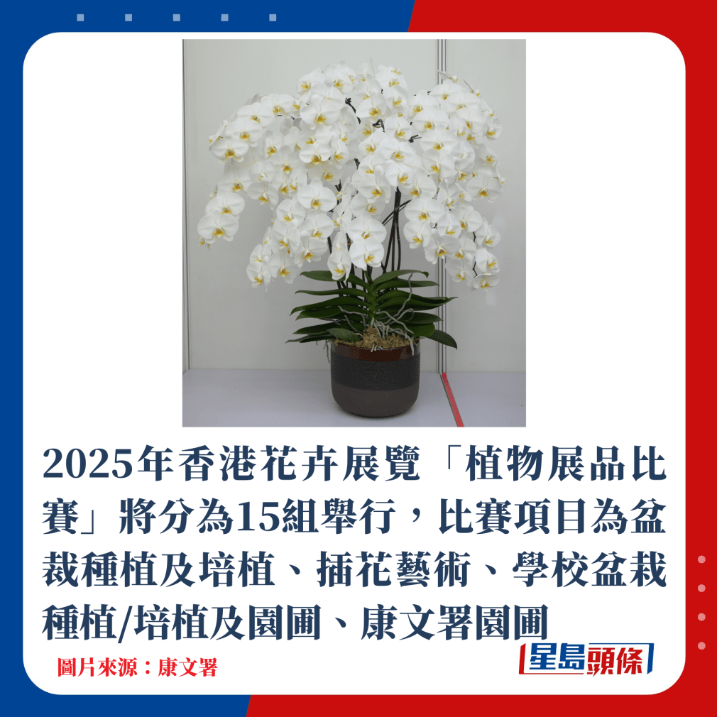 2025年香港花卉展览《植物展品比赛》将分为15组举行,比赛项目为盆裁种植及培植、插花艺术、、康文署园圃 2025年香港花卉展览《植物展品比赛》将分为15组举行,比赛项目为盆裁种植及培植、插花艺术、、康文署园圃