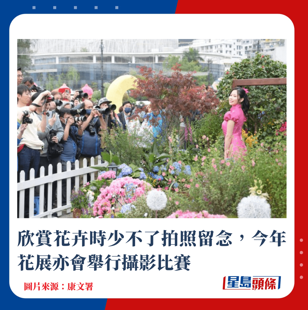 赏花卉时少不了拍照留念,今年花展亦会举行摄影比赛 赏花卉时少不了拍照留念,今年花展亦会举行摄影比赛