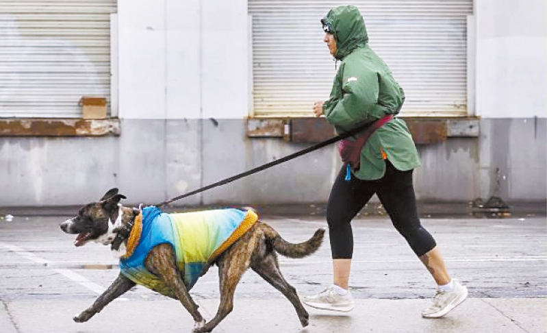 洛杉矶。 洛杉矶。