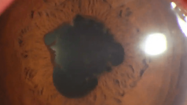 内地男过年熬夜狂追剧 内地男过年熬夜狂追剧