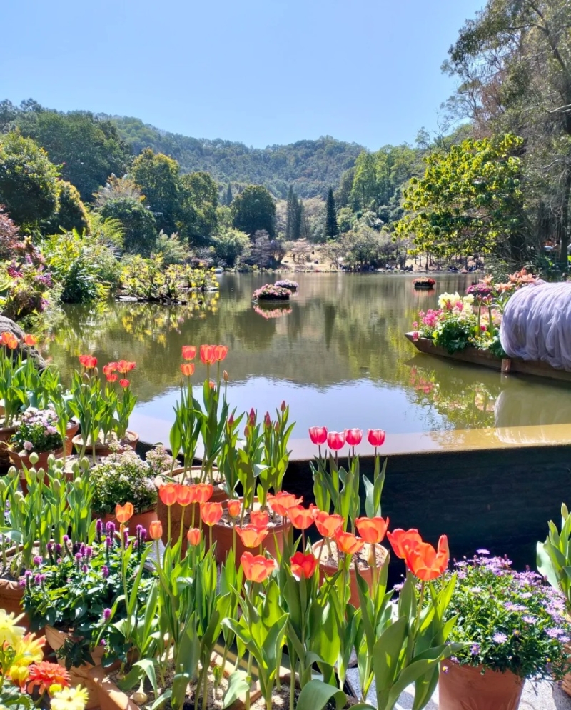 仙湖植物园 仙湖植物园