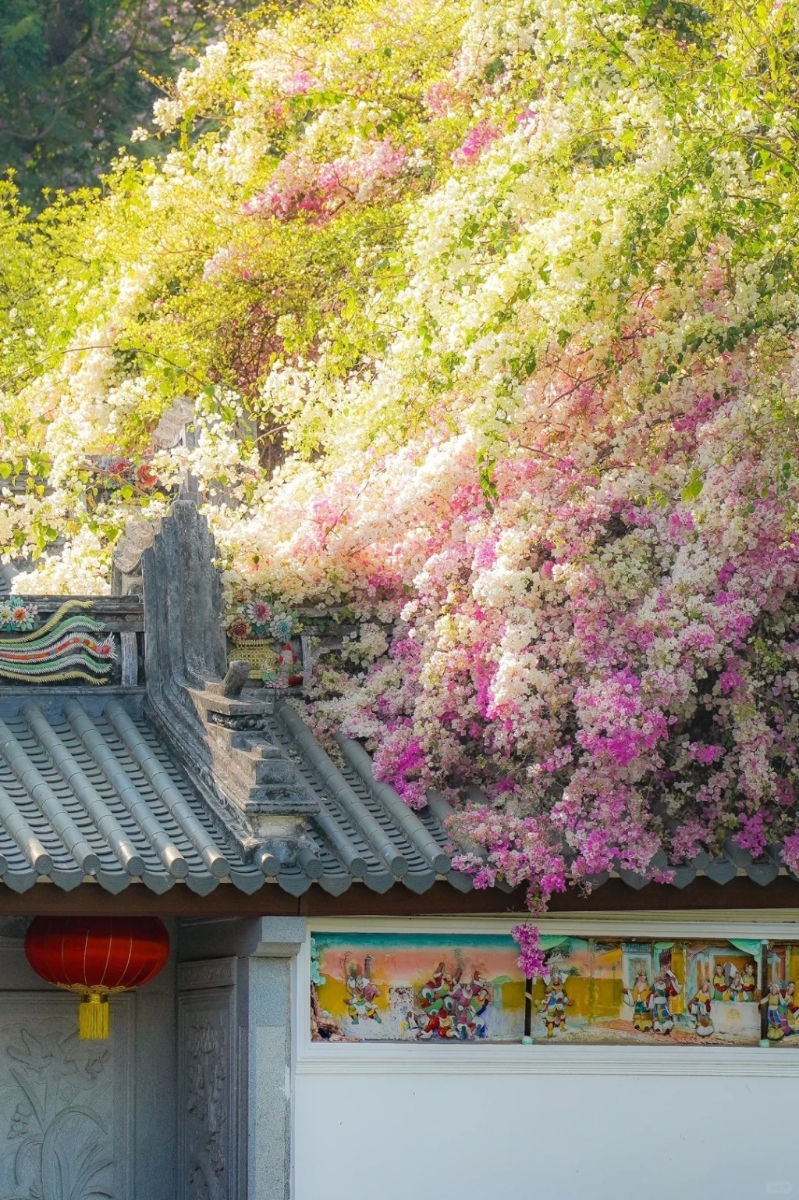 深圳国际园林花卉博览园 深圳国际园林花卉博览园