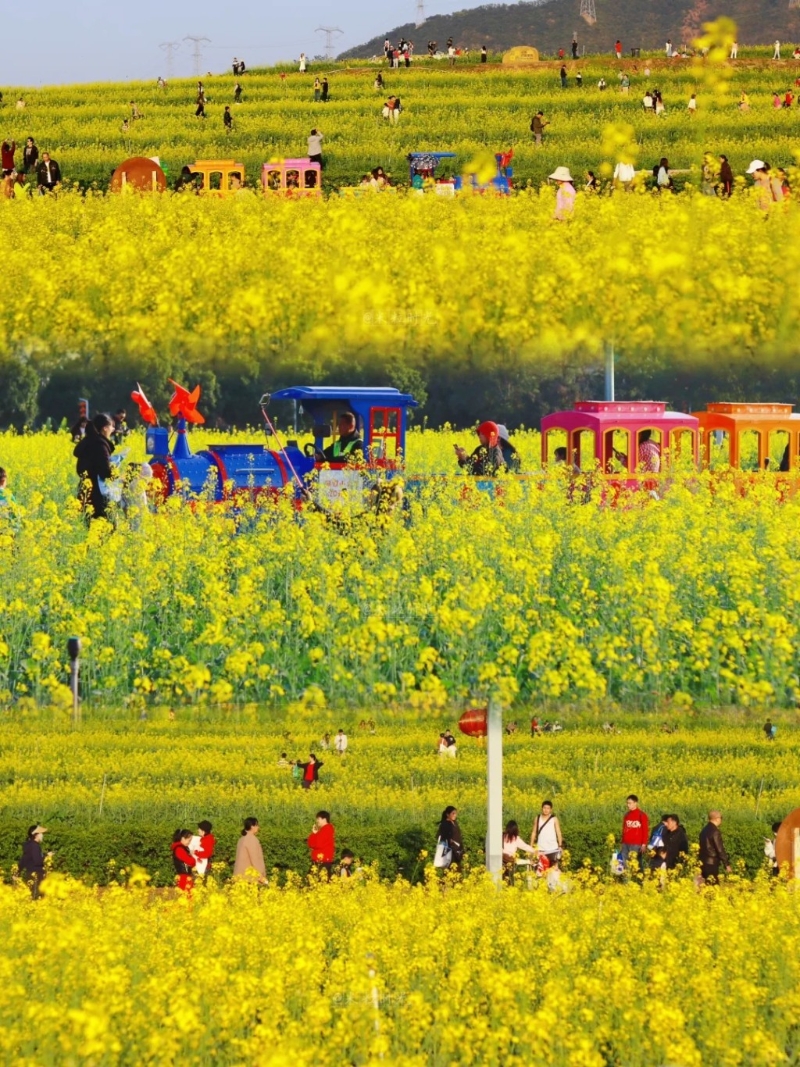 光明欢乐田园 光明欢乐田园