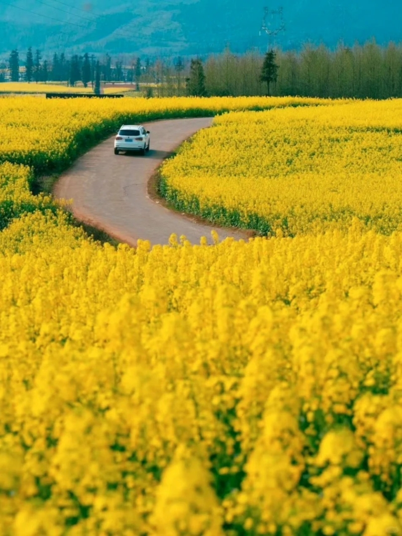 陌上花公园 陌上花公园