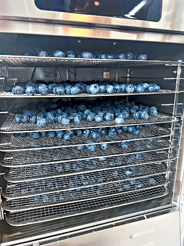 团队经不断试验,找出保留更多营养的脱水方式。 团队经不断试验,找出保留更多营养的脱水方式。