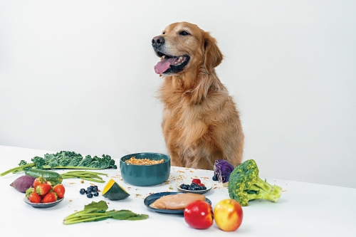 Petsona的食粮采用人类食用级食材制作,狗主加水后即可让毛孩食用Petsona的营养食粮。 Petsona的食粮采用人类食用级食材制作,狗主加水后即可让毛孩食用Petsona的营养食粮。