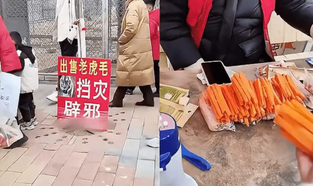 南阳野生动物园出现“出售老虎毛”广告牌。.png 南阳野生动物园出现“出售老虎毛”广告牌。.png