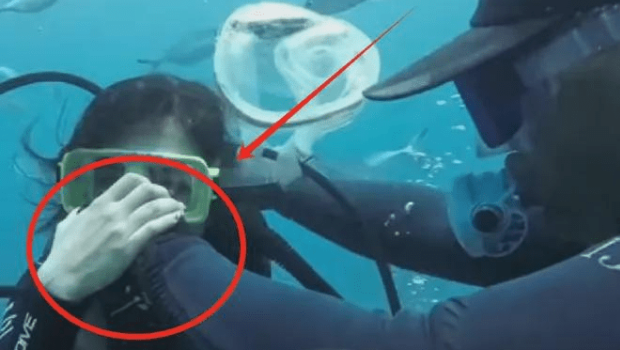 去年内地警方指捣破一个盘踞在三亚市南边海三亚角、情人湾等区域的犯罪集团。 去年内地警方指捣破一个盘踞在三亚市南边海三亚角、情人湾等区域的犯罪集团。