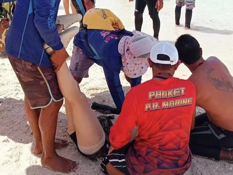 江西女游客钟小姐在泰国布吉岛浮潜时遇溺致脑死亡。橙柿互动 江西女游客钟小姐在泰国布吉岛浮潜时遇溺致脑死亡。橙柿互动