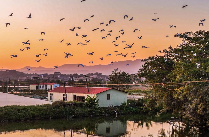 小桥流水人家 小桥流水人家