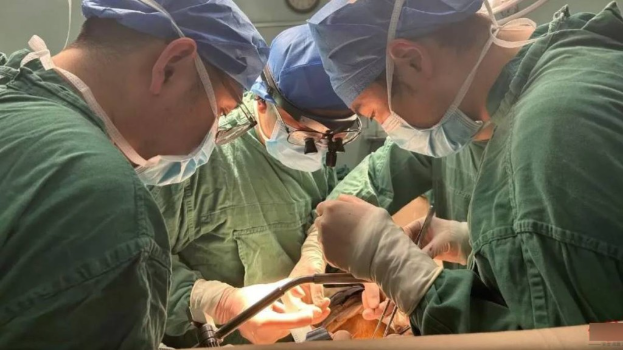 四川有泌尿科团队利用DeepSeek设计治疗方案,成功为癌患实施根治手术。红星新闻 四川有泌尿科团队利用DeepSeek设计治疗方案,成功为癌患实施根治手术。红星新闻