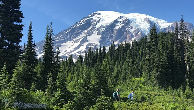 雷尼尔山国家公园。 雷尼尔山国家公园。