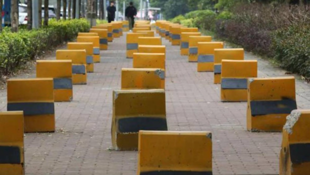 东萱有职校外出现百米百趸阵引起批评。南都 东萱有职校外出现百米百趸阵引起批评。南都