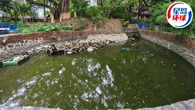 龟和鱼已移往另一水池。 龟和鱼已移往另一水池。