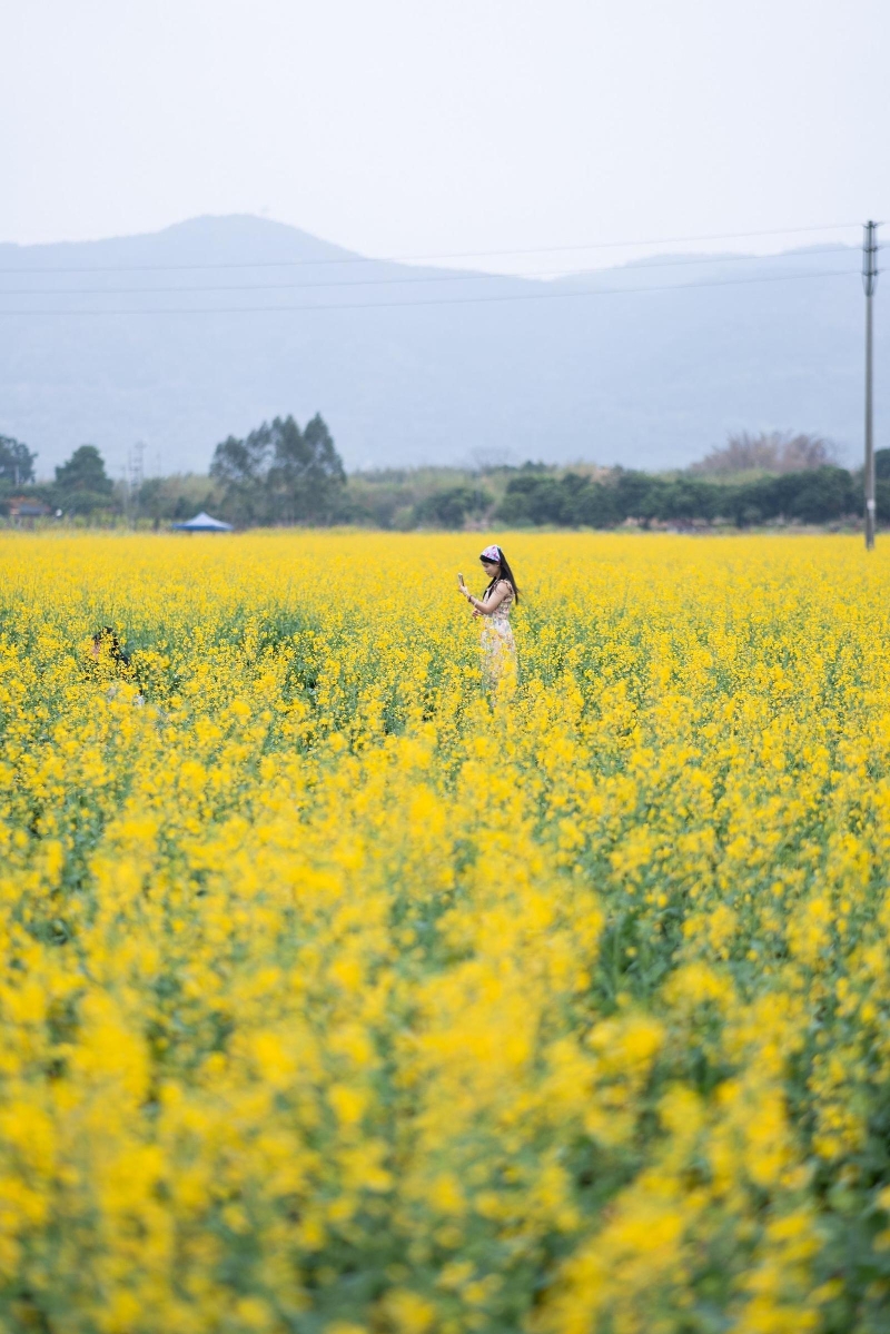 拍照打卡 拍照打卡