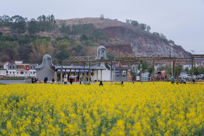 乡间小径 乡间小径