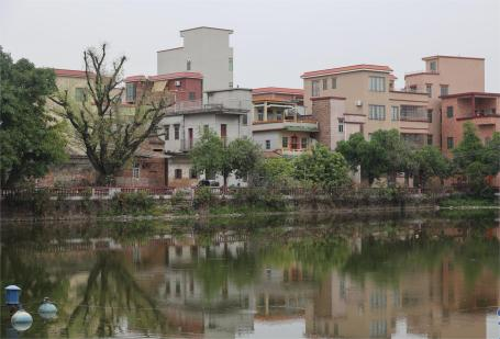 佛山贤鲁岛:有人放烟花,有人追晚风 佛山贤鲁岛:有人放烟花,有人追晚风