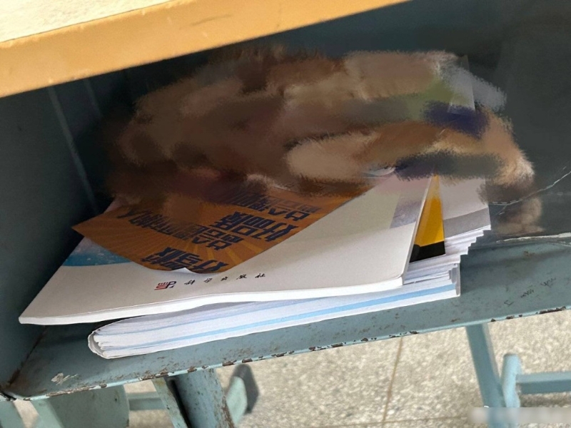 无头的流浪猫尸被塞入书桌内。 无头的流浪猫尸被塞入书桌内。