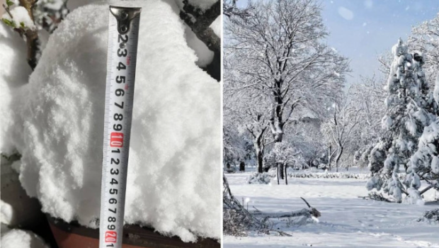 山东淄博暴雪深越脚踝 山东淄博暴雪深越脚踝