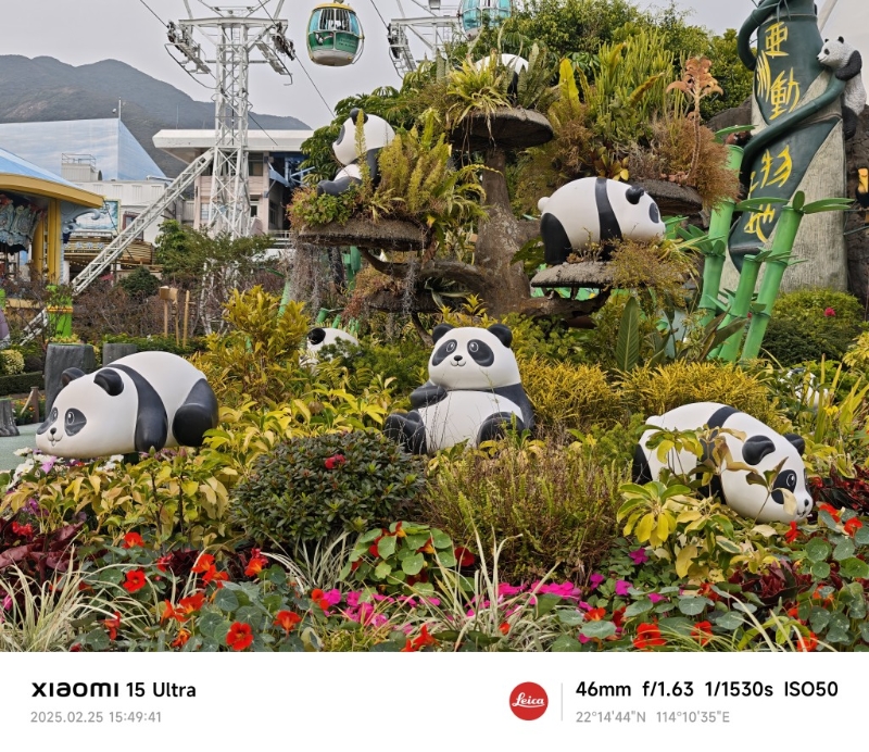 拍摄效果 拍摄效果