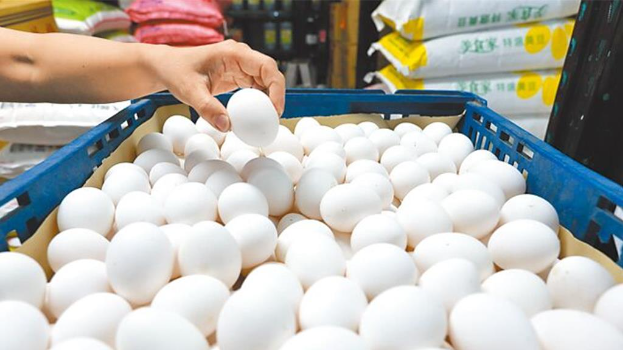 鸡蛋 鸡蛋
