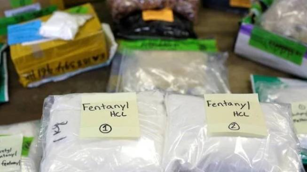 《中国芬太尼类物质管控》白皮书发布。 《中国芬太尼类物质管控》白皮书发布。