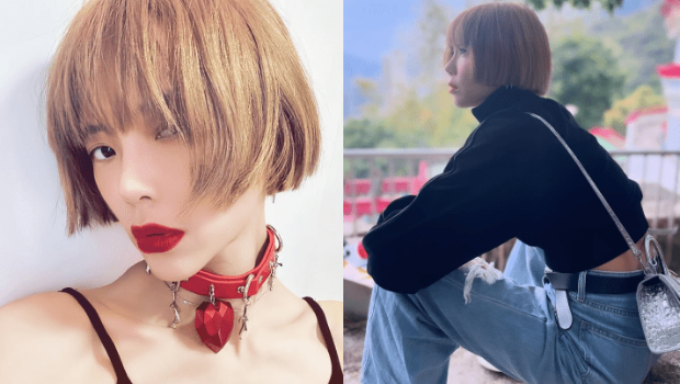 方皓玟为内地女游客爆粗轰的士司机 方皓玟为内地女游客爆粗轰的士司机