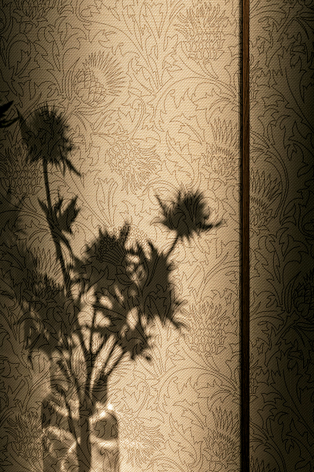 以Loro Piana品牌象征的蓟花为灵感创作的家具面料和精致壁纸。 以Loro Piana品牌象征的蓟花为灵感创作的家具面料和精致壁纸。