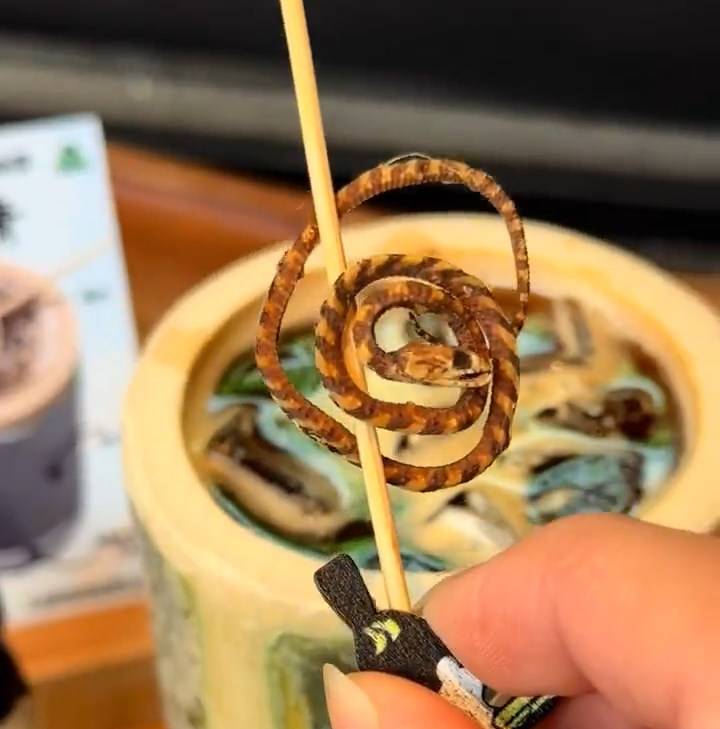 咖啡用上真蛇干。 咖啡用上真蛇干。