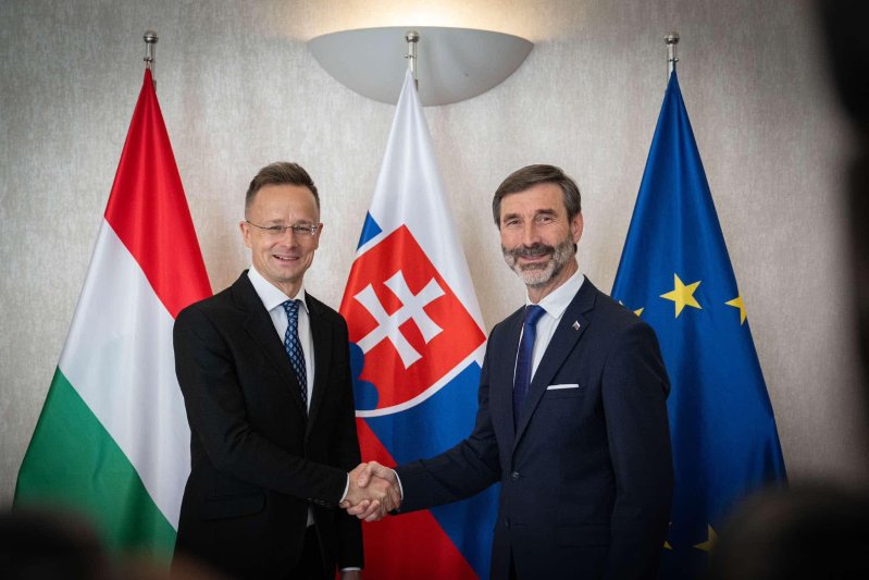 斯洛伐克与匈牙利外长 斯洛伐克与匈牙利外长