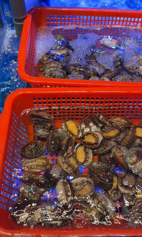 食客可即捞活虾及鲍鱼。 食客可即捞活虾及鲍鱼。