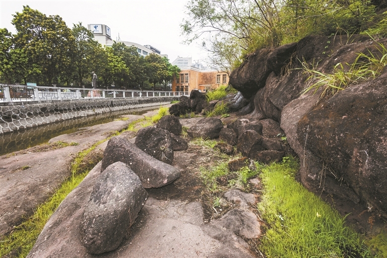 七星岗古海岸遗址 七星岗古海岸遗址