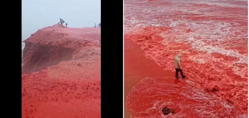 微信截图_20250313125941 微信截图_20250313125941