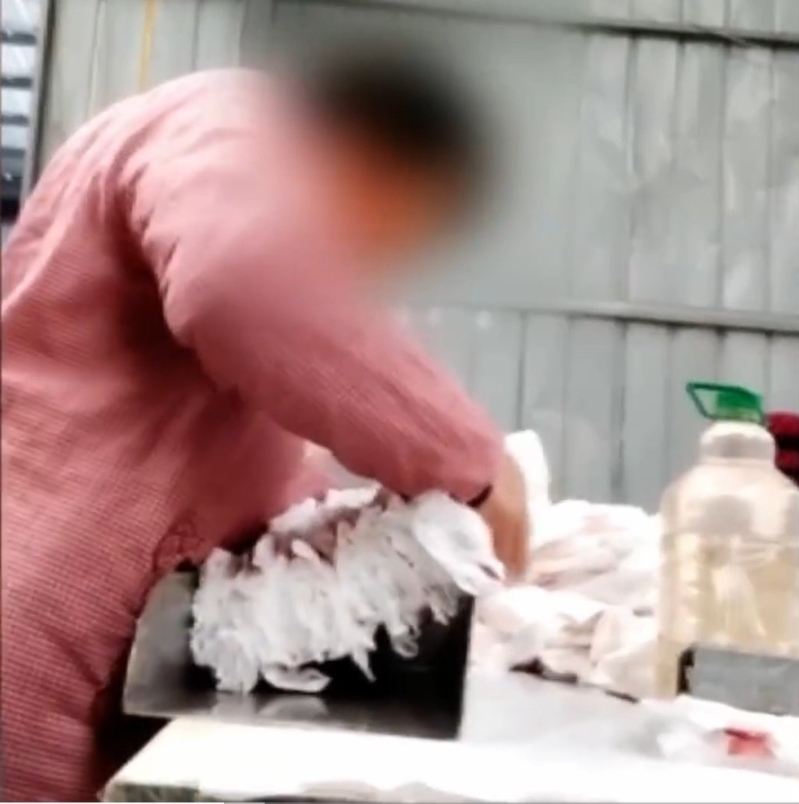 2025-03-15_203701 2025-03-15_203701